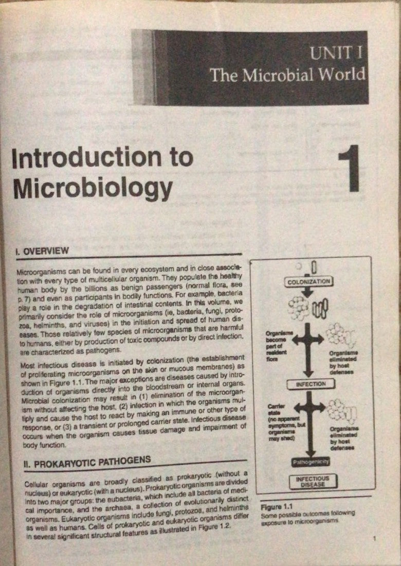 Lippincott Illustrated Reviews Microbiology 5th Ed